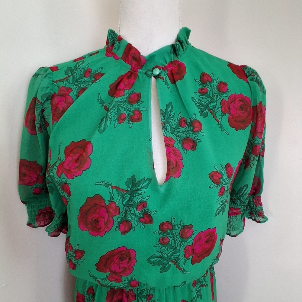 Betsey Johnson Green Maxi Dress with Red Floral Print - Picture 9 of 12